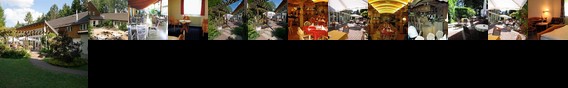 Hotel & Restaurant Zur Lochmuhle Penig