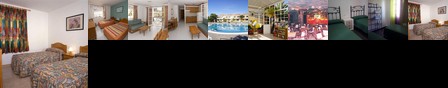 Laurisilva Apartments