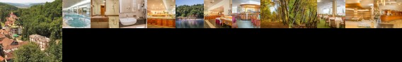 Danubius Health Spa & Resort Sovata