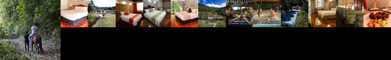 Hotel Bambito Resort