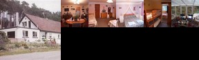 The Pines Country Guest House