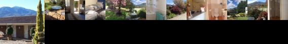 Bogong Moth Motel