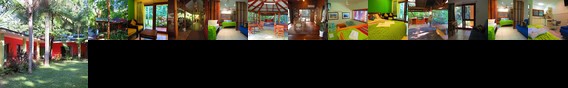 Daintree Rainforest Retreat