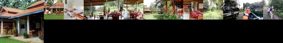 Satwa Elephant Eco Lodge Bandar Lampung