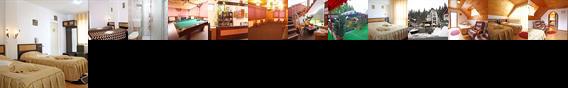 Vila Select Predeal