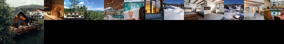 Hotel Vienna Windham