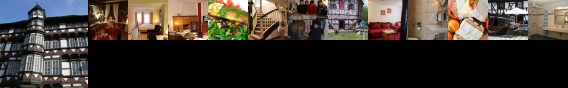 Hotel Zum Burgergarten Stolberg (Saxony-Anhalt)