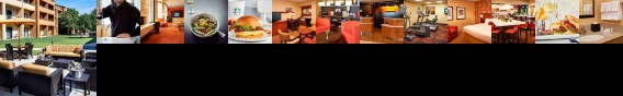 Courtyard by Marriott Toledo Airport Holland