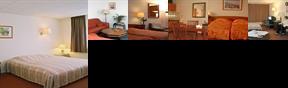 Steyn Hotel & Apartments