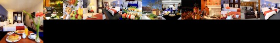 Emily Hotel Pachuca
