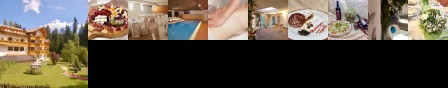 Hotel Waldheim Sarnonico