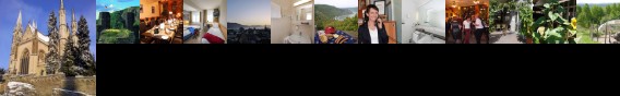Rhineland Holiday Pinger Hotel Remagen