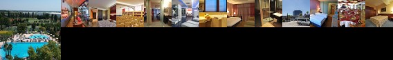 Hotel Antares Villafranca di Verona