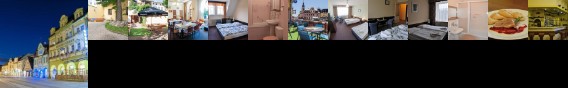 Hotel Labut