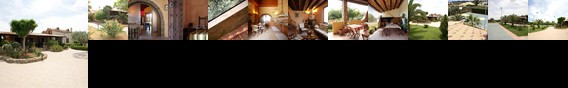 B&B Triskele