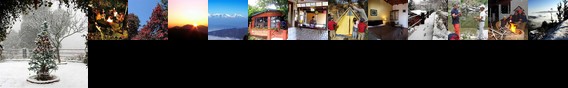 Mountain Trail Resort