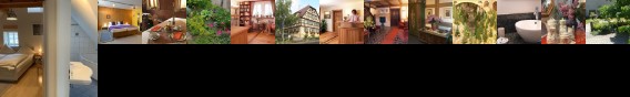 Hotel Schwarzes Ross Steinsfeld