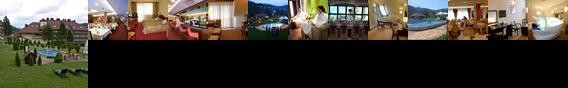 Hotel Stok