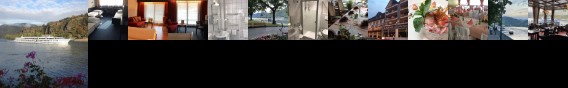 Hotel Gasthaus Rheinlust