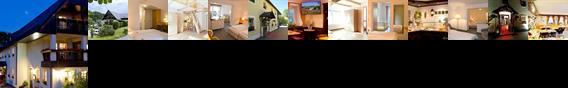 Pension Bergmannschanke