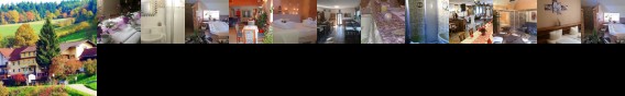 Hotel Gasthof Zur Krone Odenwald-Sterne-Hotel
