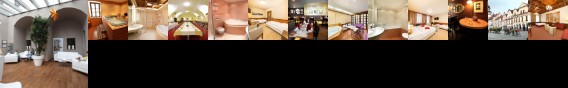 Zlata Hvezda Hotel Trebon