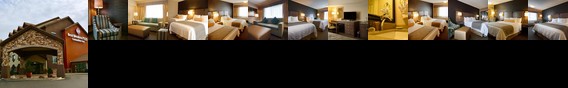 Best Western Plus CottonTree