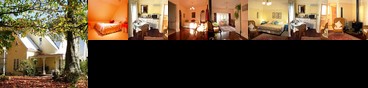 Elm Wood Classic Bed and Breakfast Westbury (Australia)