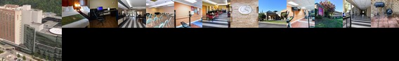 Comfort Suites Inn at Ridgewood Farm