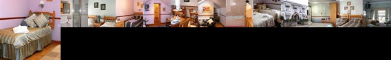 Black Lion Guest House