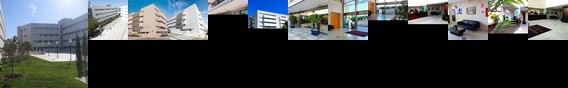 Domocenter Apartamentos Turisticos