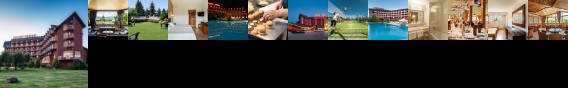Puigcerda Park Hotel