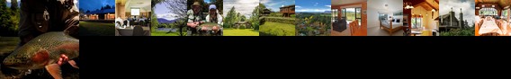 Tongariro Lodge
