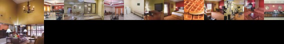 La Quinta Inn & Suites Alice