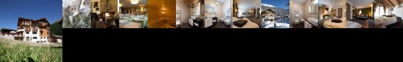 Hotel Vedig