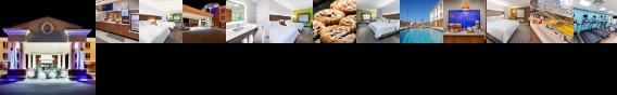 Holiday Inn Express Hotel & Suites Ozona