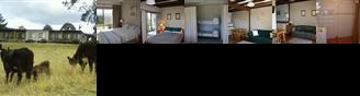 Bumblebrook Farm Motel