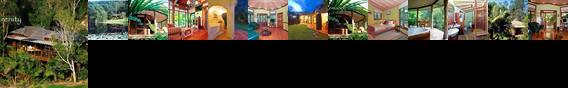 Amazing Wollumbin Palms Retreat Mount Warning