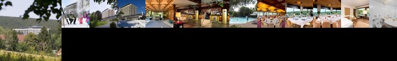Maritim Berghotel