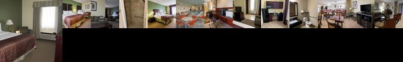 Best Western Airport Inn & Suites Cleveland Brook Park