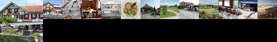 Hotel Restaurant Koi-Gartenteich Hausernmoos