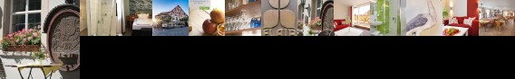 Flair Hotel zum Storchen