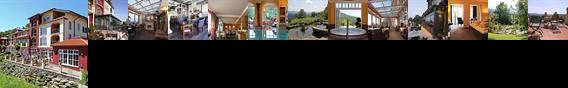Landhotel Der Sterr Viechtach