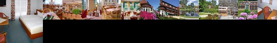 Parkhotel Bad Brambach