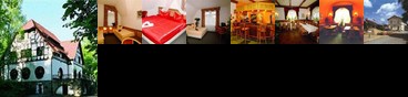 Parkgaststaette Lengenfeld Restaurant & Hotelpension
