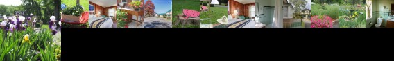 Americas Best Value Inn Hancock (Maryland)