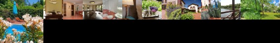 Hullam Villa Bed & Breakfast Balatonmariafurdo