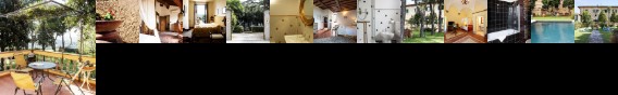 Villa Il Fedino