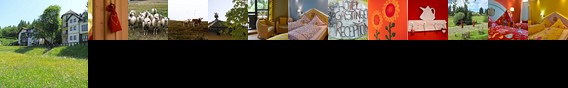 Hotel Gastinger