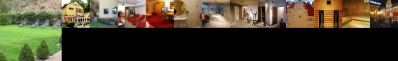 Hotel Goldbachel